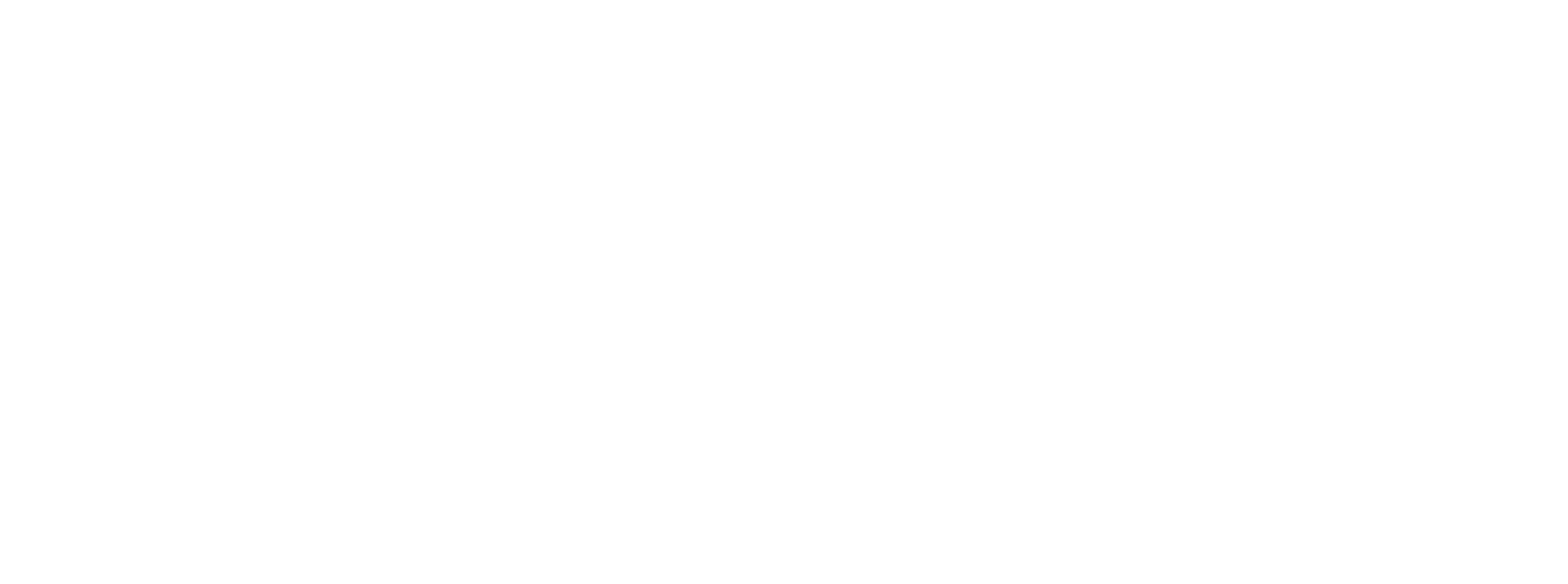 911 BRANDS
